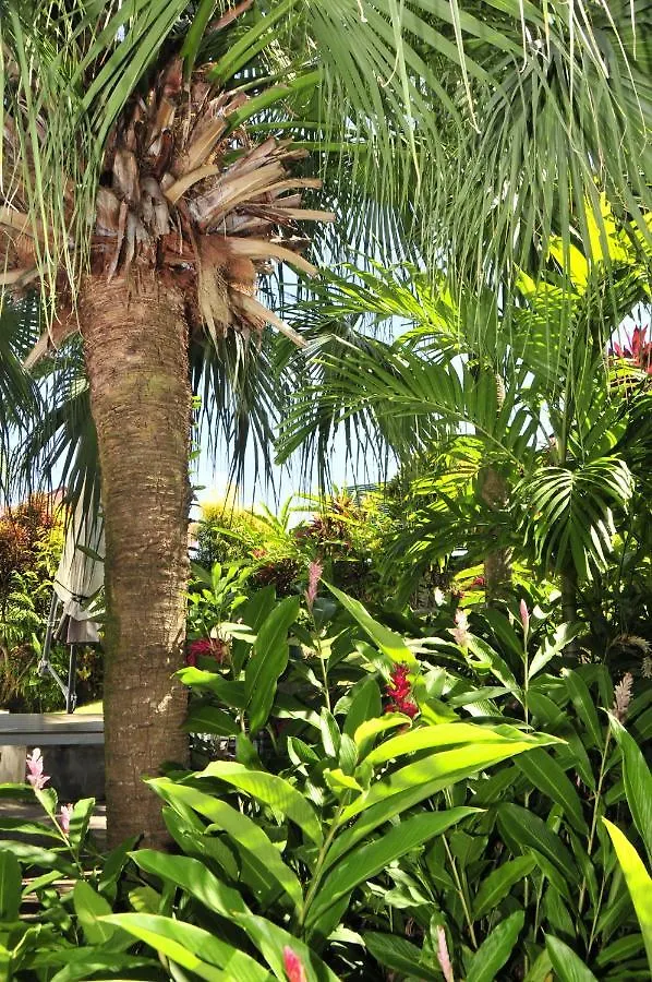 Le Colibri D'Isa Apartment Capesterre-Belle-Eau Guadeloupe