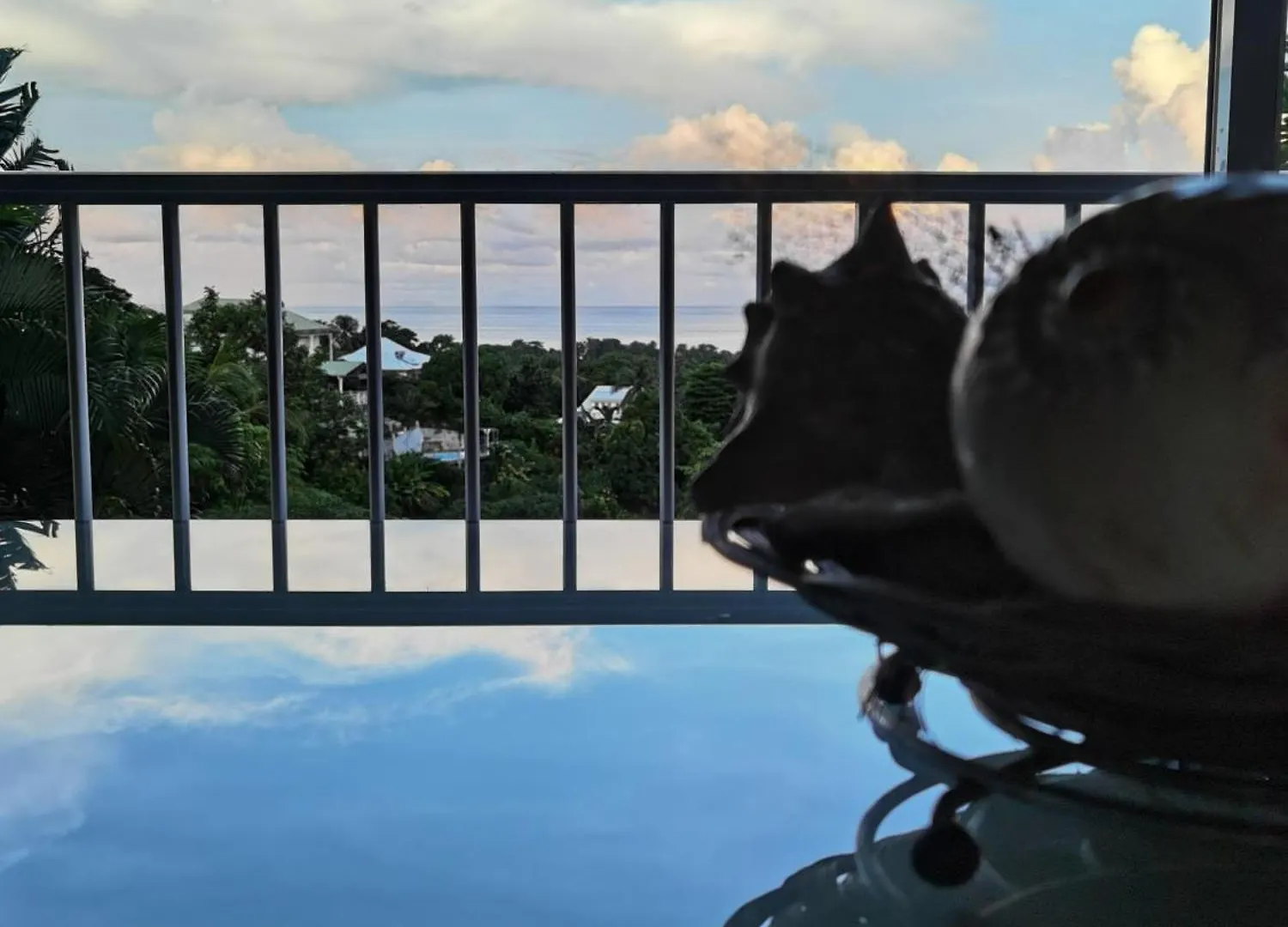 Le Colibri D'Isa Apartment Capesterre-Belle-Eau Guadeloupe